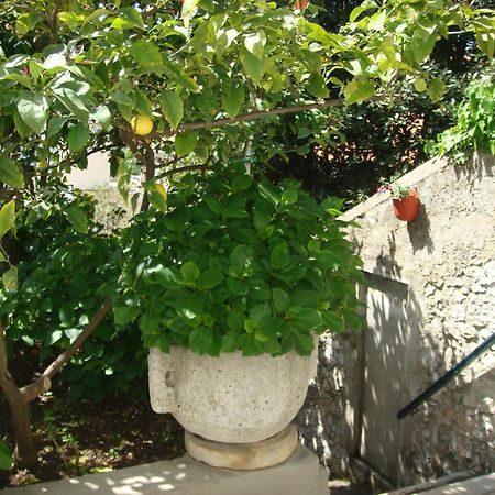 Guesthouse Manda Dubrovnik Eksteriør bilde
