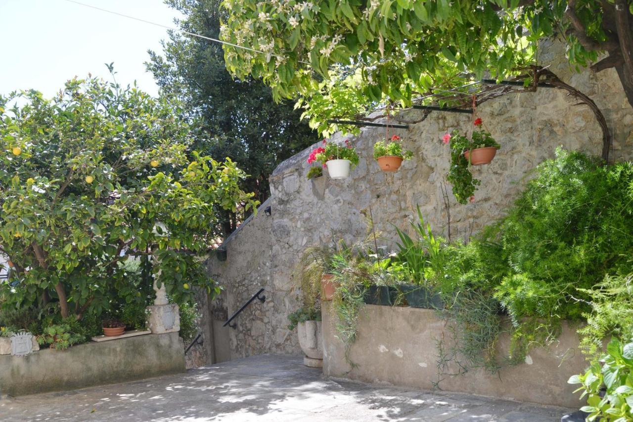 Guesthouse Manda Dubrovnik Eksteriør bilde