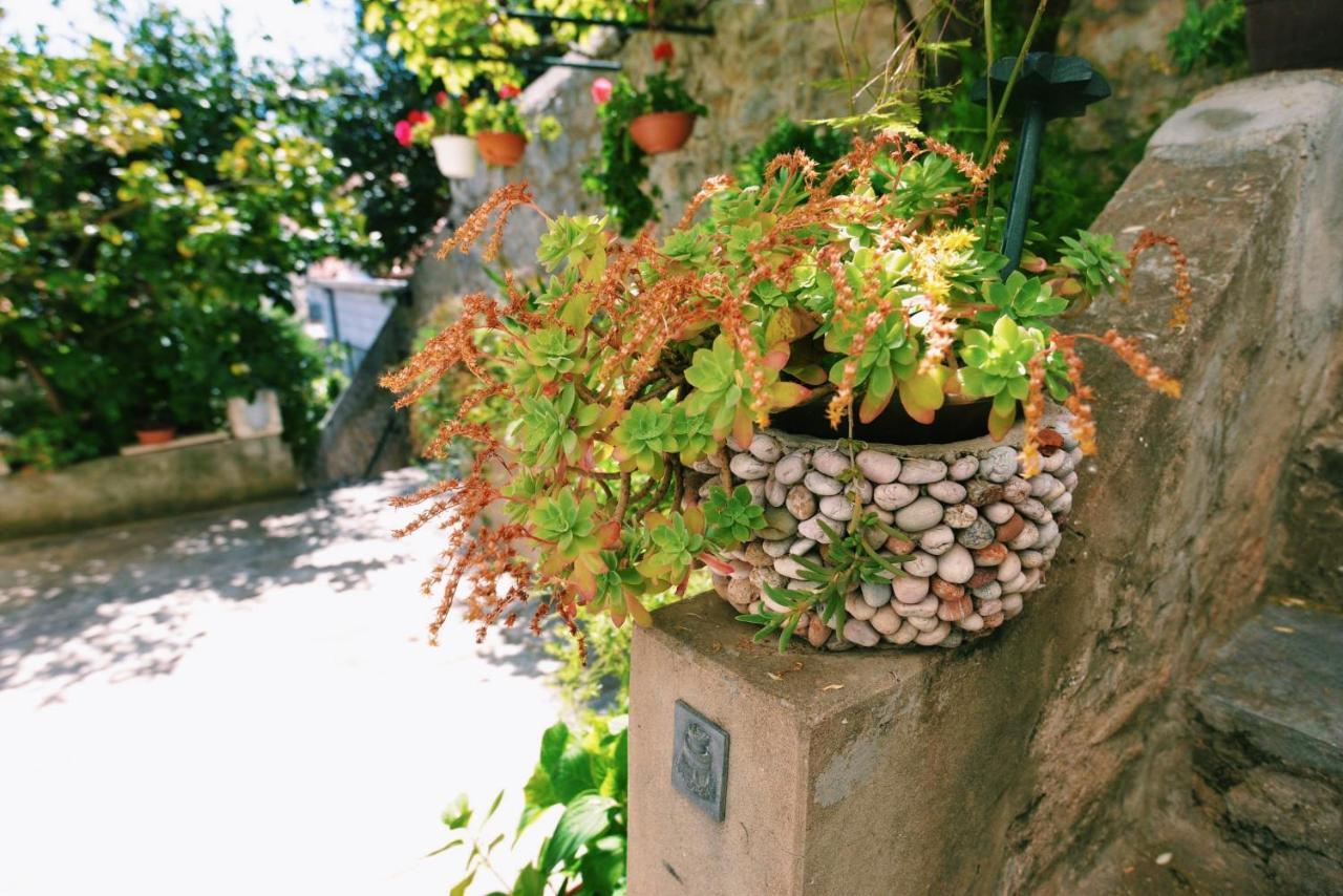 Guesthouse Manda Dubrovnik Eksteriør bilde