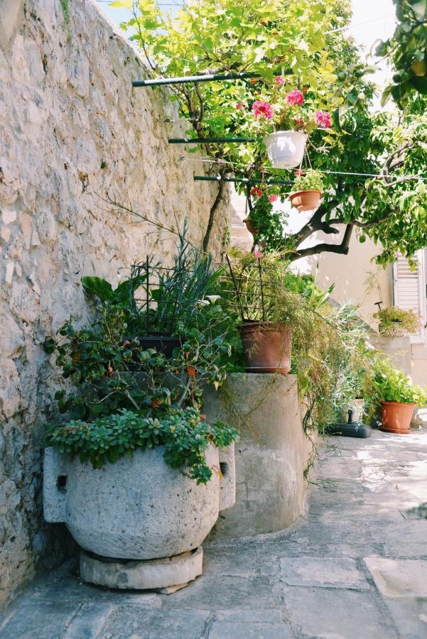 Guesthouse Manda Dubrovnik Eksteriør bilde