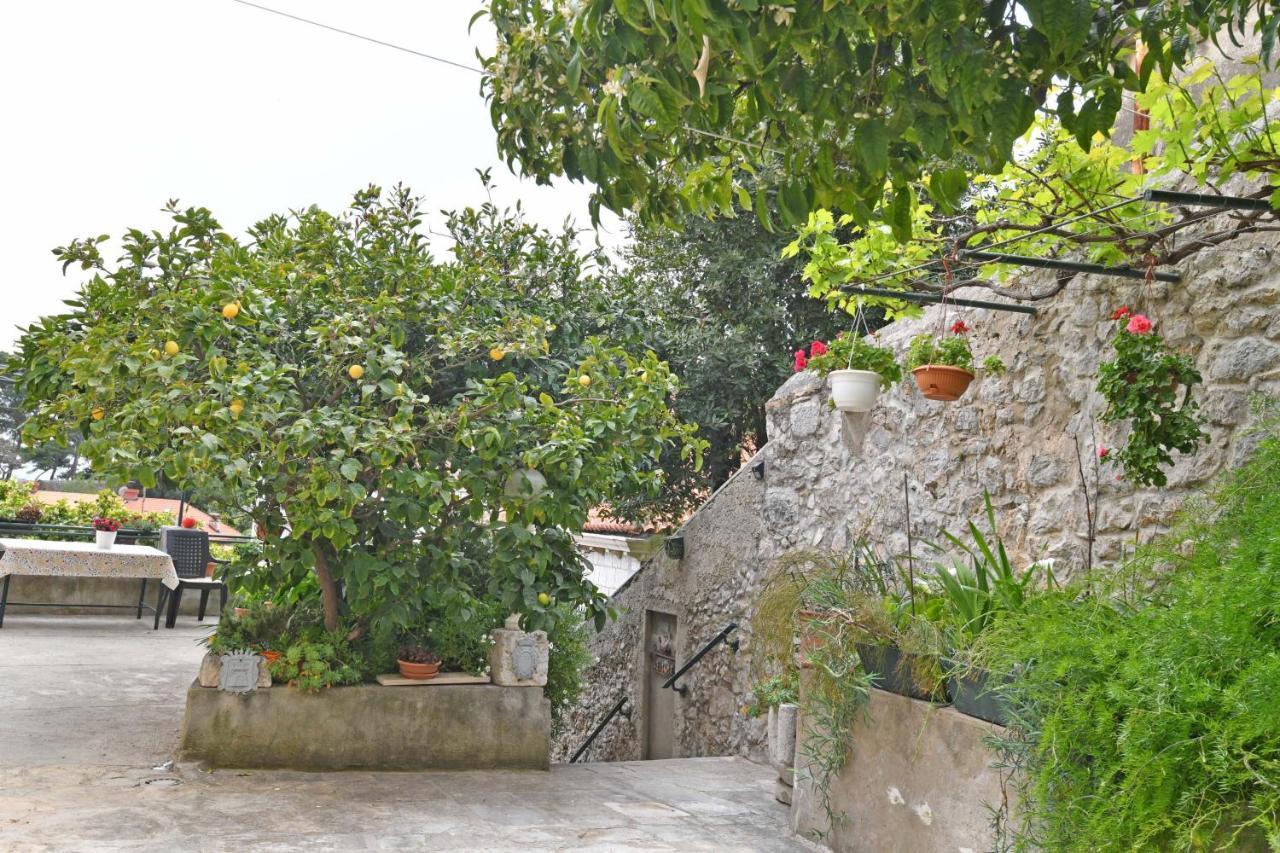 Guesthouse Manda Dubrovnik Eksteriør bilde