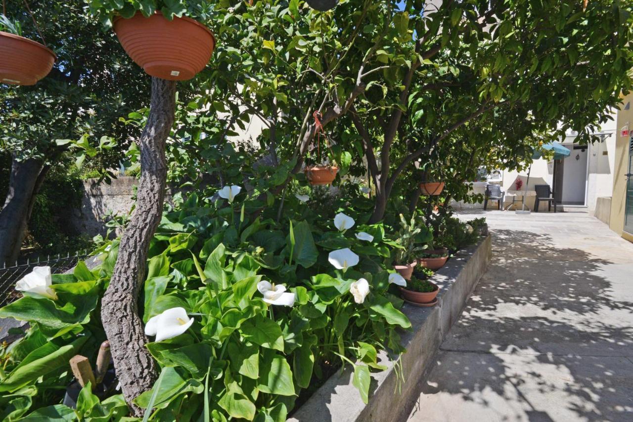 Guesthouse Manda Dubrovnik Eksteriør bilde
