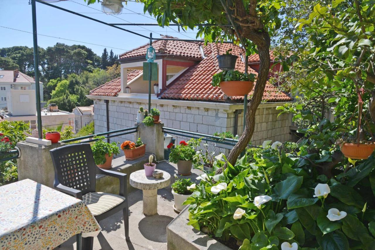Guesthouse Manda Dubrovnik Eksteriør bilde